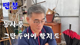 맨붕-농사를 그만두어야 할지도 모르겠네요