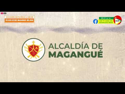 Fiesta en honor a nuestra Señora de la Candelaria