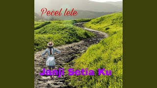 Download lagu Janji Setia Ku mp3