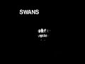 Swans - Big Strong Boss (NIGHTMARE MODE)