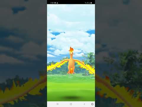 100iv 1980cp moltras||Raid day February 2021||pokemon go