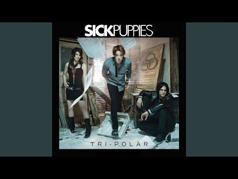 Should've Known Better