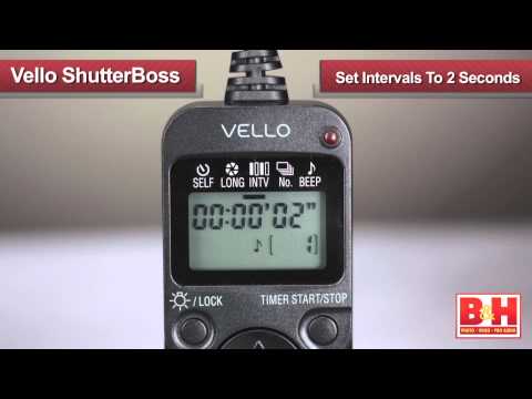 olive-branch-silhouette