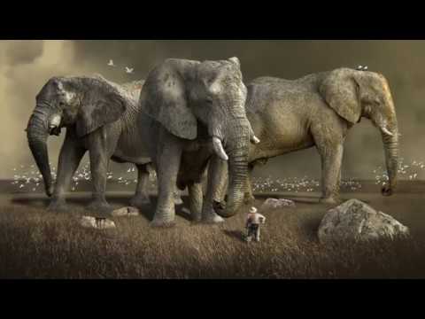 CH08 1.4. Casey Ryan Mészáros - Michal Dolník 0:1