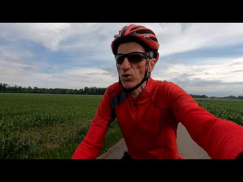 2019 06 Donau -  Etappe 08  -  von Dillingen nach Ulm