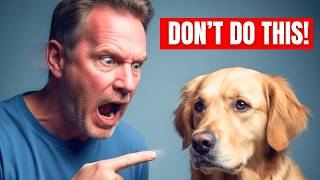 5 Deadly Dog Training Mistakes To Stop (Fix them Now)