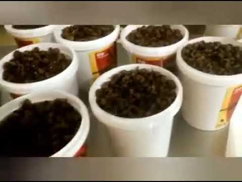 The Real Choco Jar Production