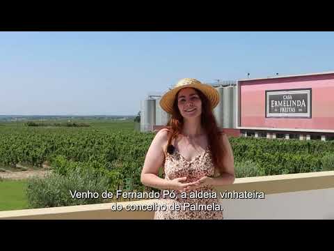 Carolina Sousa - Concurso Embaixadora Territórios Vinhateiros de Portugal