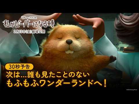 私がビーバーになる時 Video4