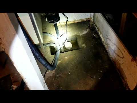 Burst Pipe Causing A Number of Pest Issues in Hopewell, NJ