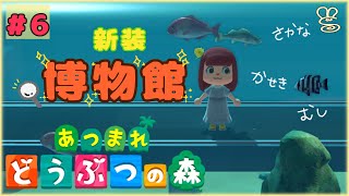 【あつ森】たくさんのお祝いと博物館探検？＃６【女性実況】