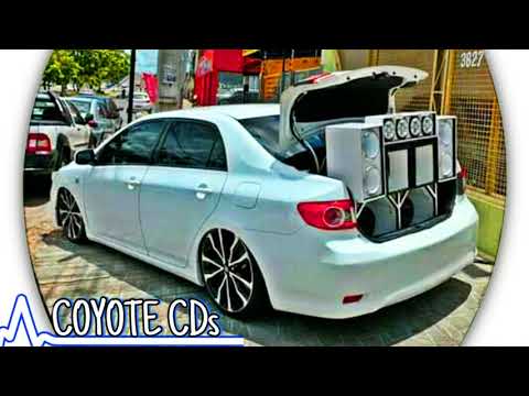 O SOM DO POVO • RELÍQUIA AO VIVO EM ENCRUZILHADA ( GRAVE BASS )