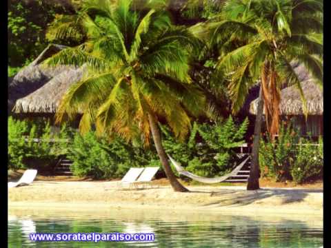 Seleccion de Taquiraris - Viva Trinidad - Coyotes del Norte