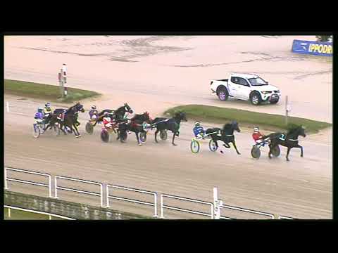 Trotto 16/10/2020 - 1ª corsa