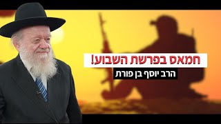 פרשת נח - מלחמה בעזה - חמאס בפרשת השבוע! - תשפ"ד