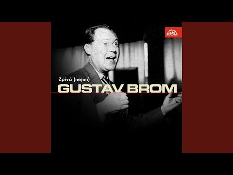 Pozdrav astronautovi (Dobrý den, majore Gagarine)