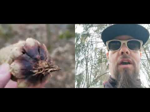 Nyt on sitten ulkoiltu