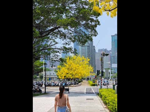 Parque Taisho Wangshi Kunzhong