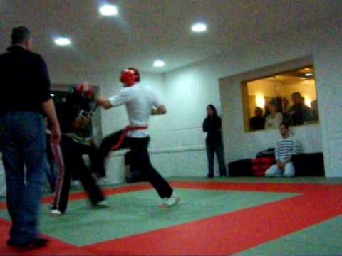 Fight Night - chris vs mirko round 1