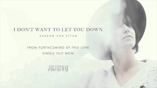 I Don't Want to Let You Down Music Video