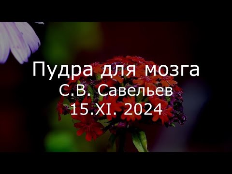 С.В. Савельев - Пудра для мозга