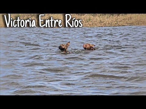 Pesca en Entre Ríos Victoria 