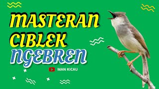 Download lagu Masteran Ciblek Ngebren Full Tembakan MP3 #ciblek #ciblekkristal mp3 Download lagu Masteran Ciblek Ngebren Full Tembakan MP3 #ciblek #ciblekkristal mp3
