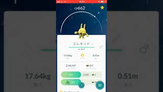 エレキッド ポケットモンスター カメテテ ガチゴラス チョロネコ