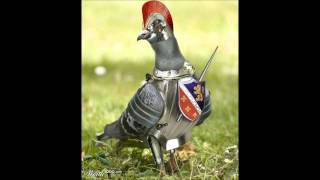 Nazgul - Bellum Humanes Resistentes Superavit