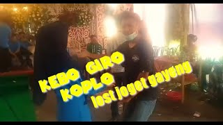 Download lagu KEBO GIRO KOPLO GAYENG mp3