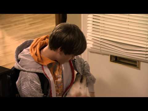 Марли и Я 2 - Trailer