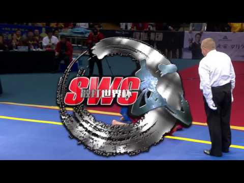 Sanda World Cup 2016 - Session 5 -  Finals