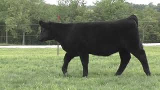 Download the video "CB2 Tag 2"