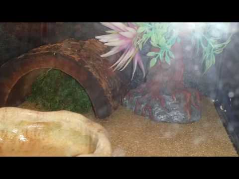 Petsmart Dothan Alabama