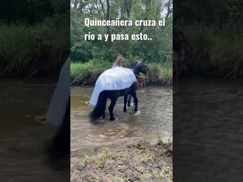 Quinceañera cruza rio a caballo y paso esto #quinceañera  @carinleonoficial #labodadelhuitlacoche