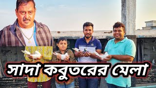 শহীদ স্মৃতি পিজন লফ্ট থেকে আমজাদ ভাইয়ের কিছু পাল্লা করা সাদা কবুতর 🥰 | Miraj Pigeon & Pets