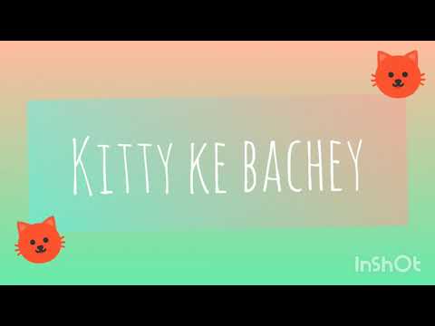 KITTY KE BACHEY 🥰🥰🥰 ||| THEIR NAMES & PLAYING 😊😊😊  #kitty #kittens #playing #biting #cats #2021