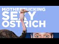 Zefrank - Ostrich Mating Dance (Lyric Video)