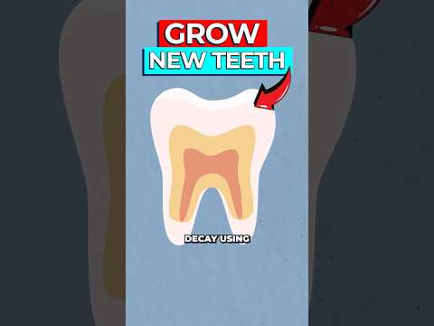 Scientists Discover How To Regrow Tooth Enamel