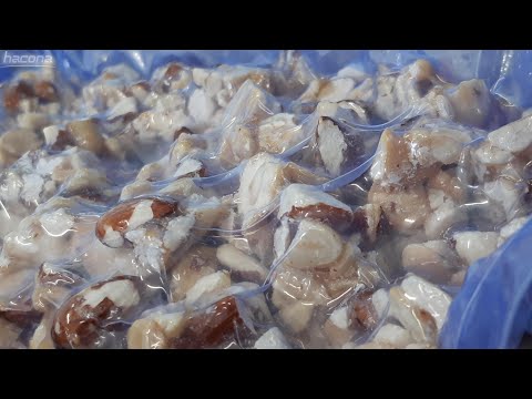 YouTube video: Dried nuts modified atmosphere packaging - MAP