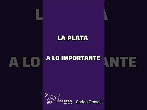 LAVALLE esta errando las PRIORIDADES de los FONDOS públicos.