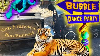 Zoo Compilation | San Diego, San Francisco and More