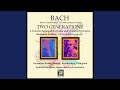 Concerto in D Minor, BWV 1052: II. Adagio (arr. for guitar and string quartet by Benjamin Verdery)