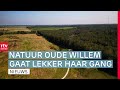 Landbouwgrond Oude Willem teruggegeven aan de natuur | Expeditie Nederland | RTV Drenthe