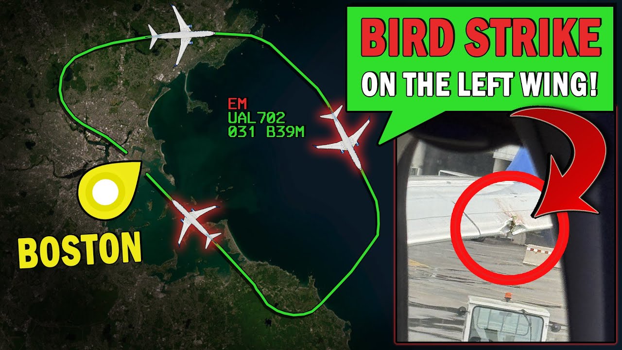 Bird Strike + Wing Damage on Takeoff | United B737-9 MAX Emergency at Boston