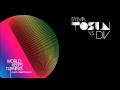 Sylvia Tosun vs. DV - World Keeps Turning (David ...