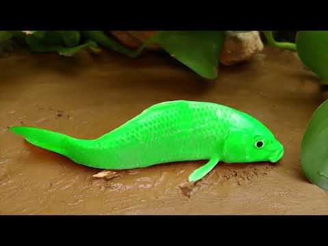 Green Fish Carp Eel - Stop Motion Mukbang Colorful Cute Koi Funny Cooking Competition CuckooCuckoo