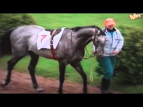 Nagroda Rulera - 21.05.1995 - Numerous (Who Knows - Normandia)