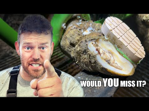 the FARMER MISSED THIS, our cameraman FREAKS OUT & there's an unusual CODE BROWN