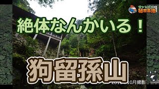 ぜったいなんかいる！狗留孫山  